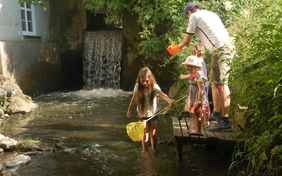 Biber-Forscher am Werk!